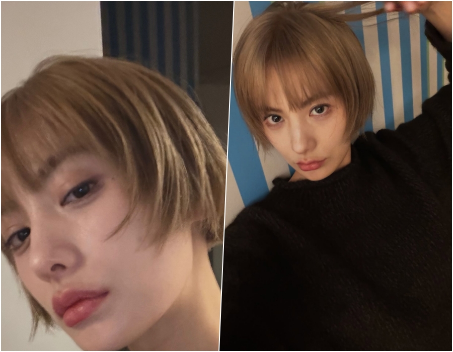 ����: ���� �ν�Ÿ�׷�