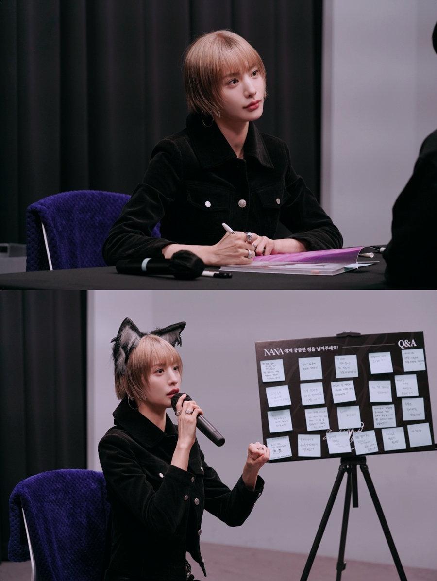 ����: ������ ����