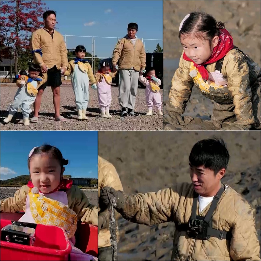 ����: KBS ����