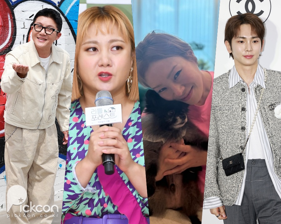 ����ȣ,�ڳ���,��ª���޴�,Ű / ���� : ����DB,��ª���޴�SNS