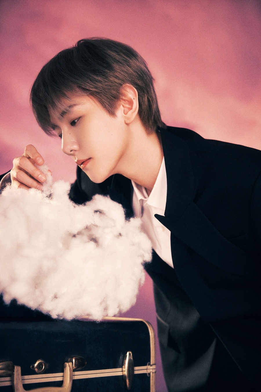 ����: INB100 ����