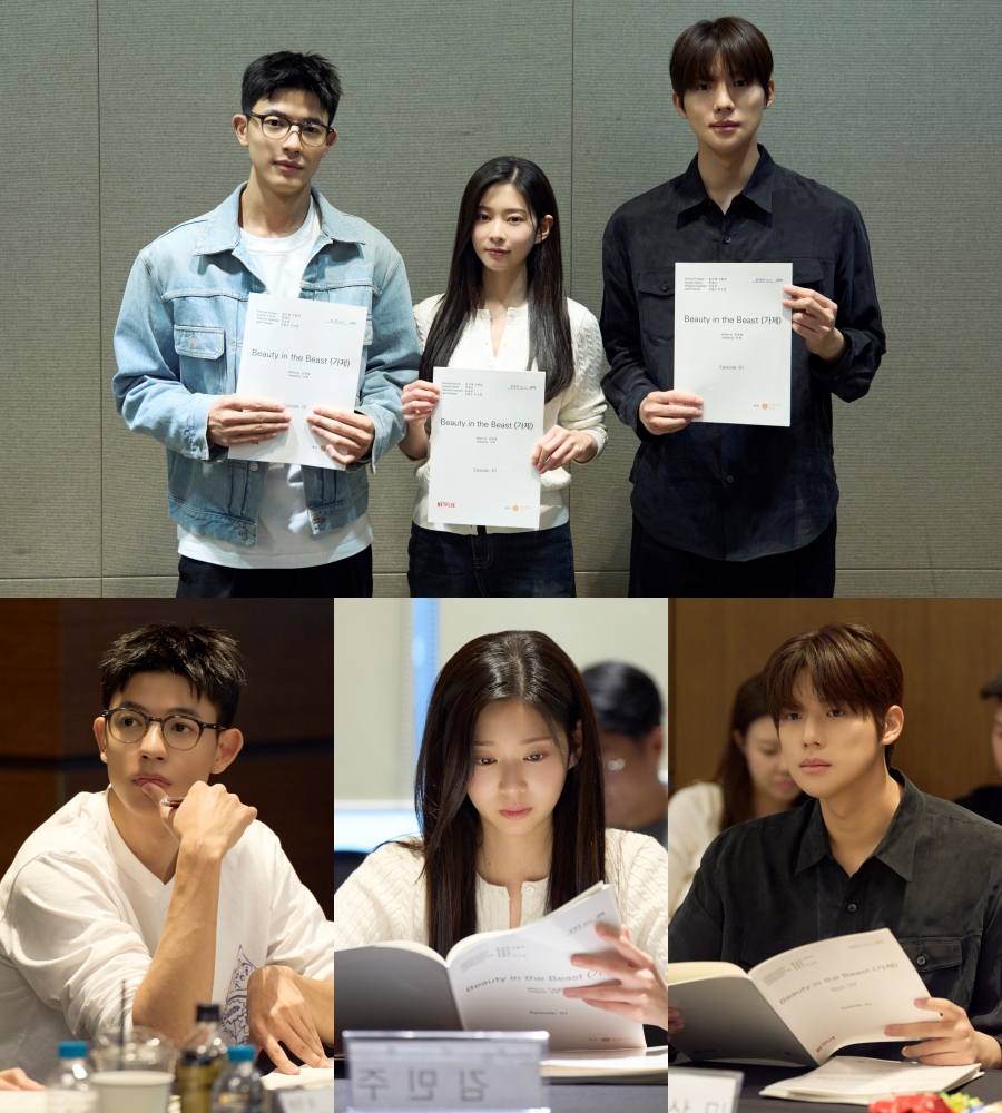 ����: ���ø��� ����