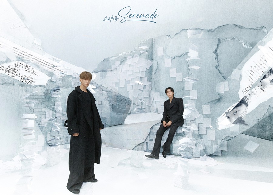 ����: �÷��� ����