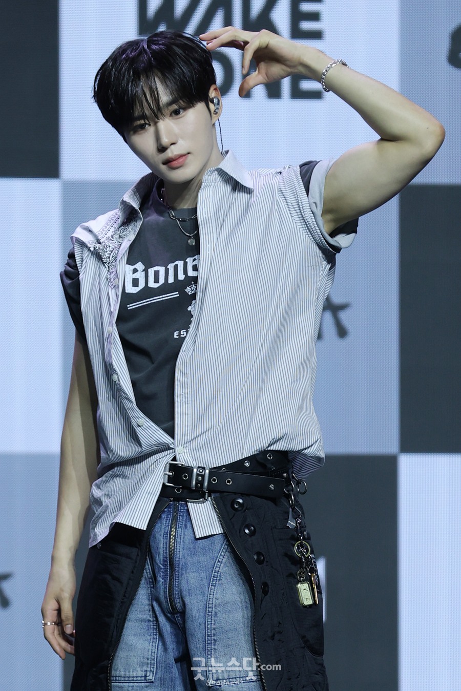 ���ĵ���̺�� �����̽� / ����: �´������� ����
