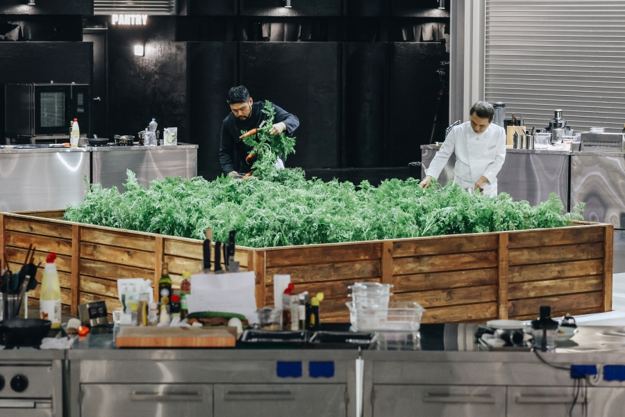 �Ĵ��� vs �丮����, �ְ��ϰ� ���� ������ 1�Ρ�'���丮��2' ����� �����ȴ�