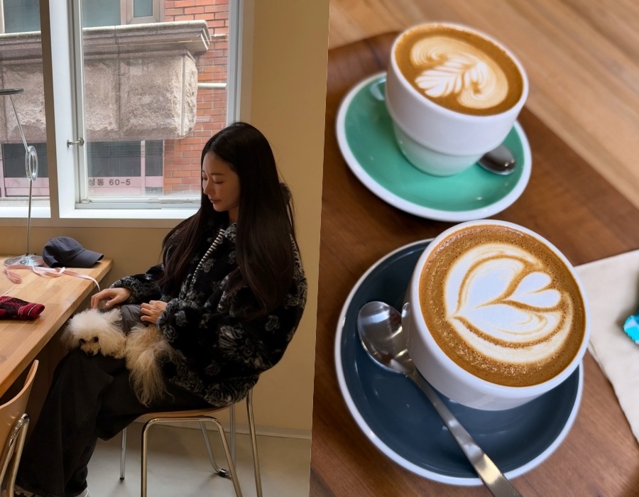 ����, ���ؿ��� ������ ���� �̸�40�� �Ĺ� ���� �� ���� ��Ȳ ����