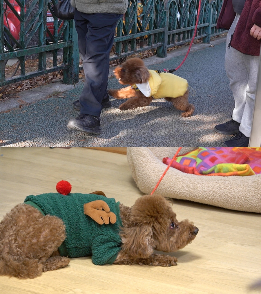 ����: KBS ����