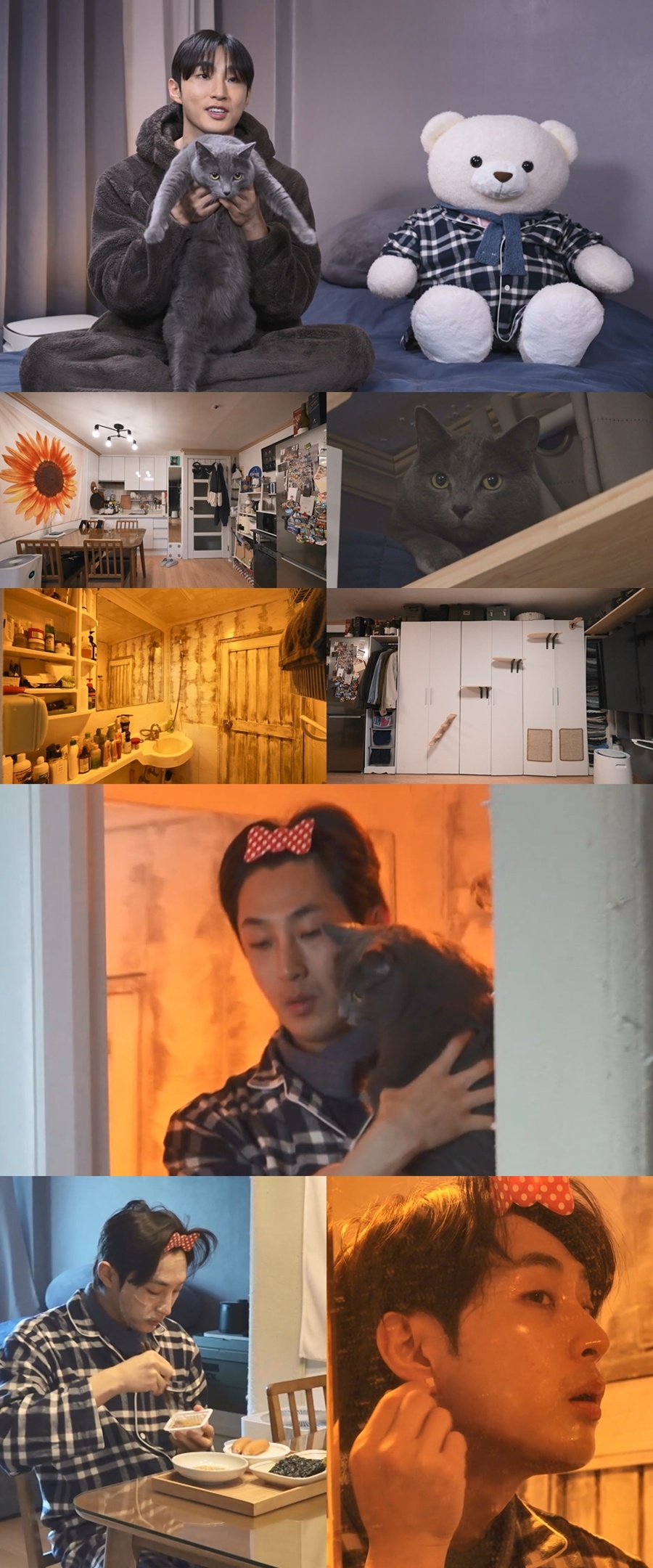 배나라, 자취 16년 차의 원룸 활용법…반려묘 위해 직접 만든 캣타워 공개 (나혼산)