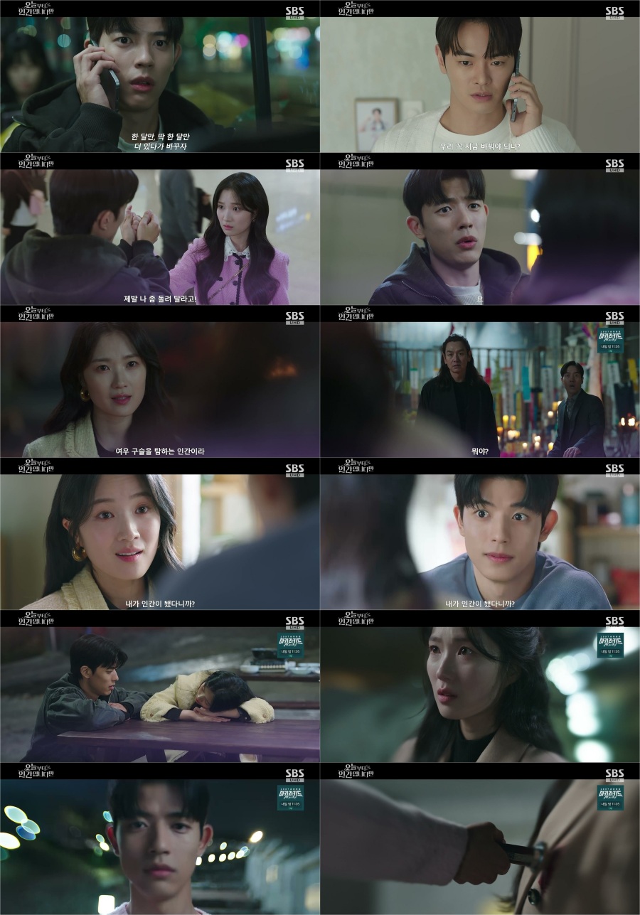 ������, �θ� ���ϰ� �ΰ��ƴ١�Į � ��� ����