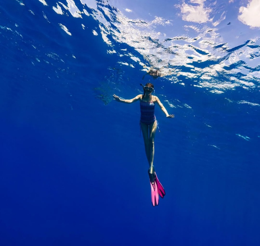 ���� : ���� �ν�Ÿ�׷�