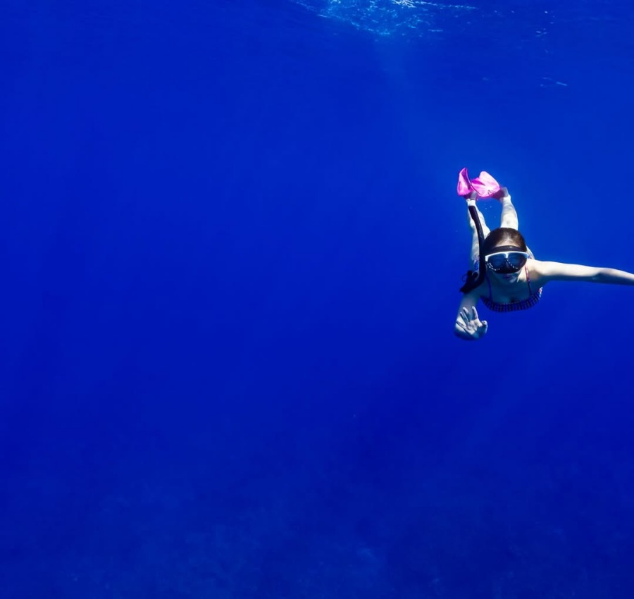 '������' ���� ��������, �ٴ� �ӿ��� �ξ���� ���� "���� ڸ�ƴ�"