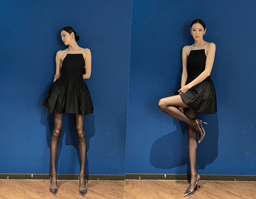 이다희, 비율이 말이 안 되는 수준…극세사 각선미 돋보이는 시스루 스타킹