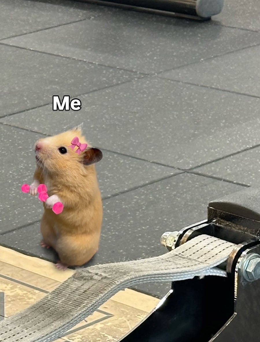 Ű���� ����, �Ĺ� �յΰ� ���� ���� �ߡ������ ���� źź�� S����