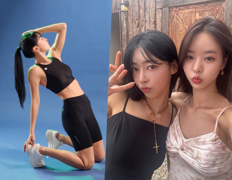 '���� ī����' �����, '�ַ�����5' �ѽ� �ǰ� ڸ���ֹ̳��� "������ �丶��"