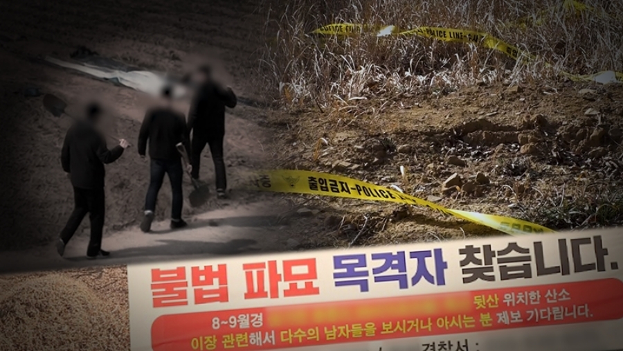 ����: SBS ����