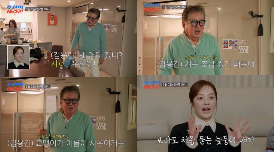 ����: TV CHOSUN ����