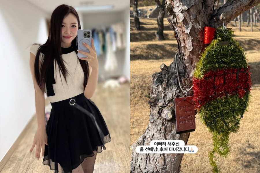 ����: ������ �ν�Ÿ�׷�