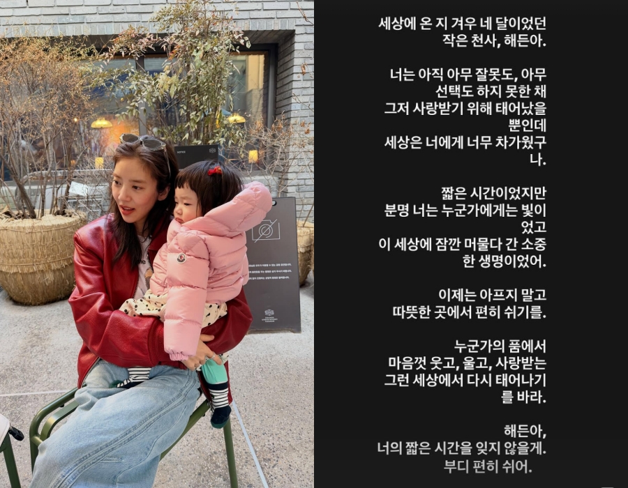 '딸맘' 손담비, '母 학대 사망' 해든이 추모 