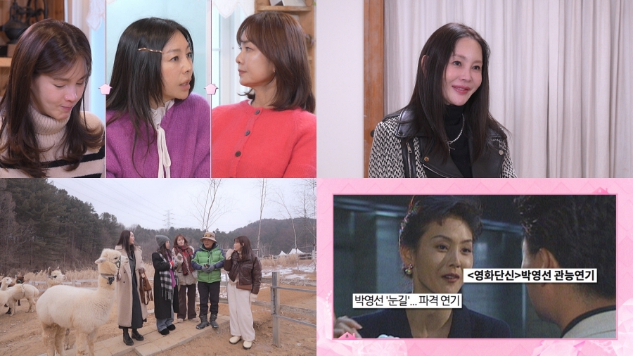 ����: KBS ����