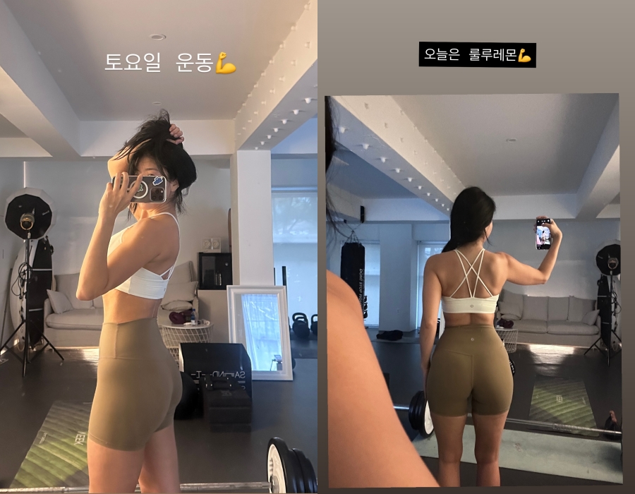 ����: �������� �ν�Ÿ�׷�