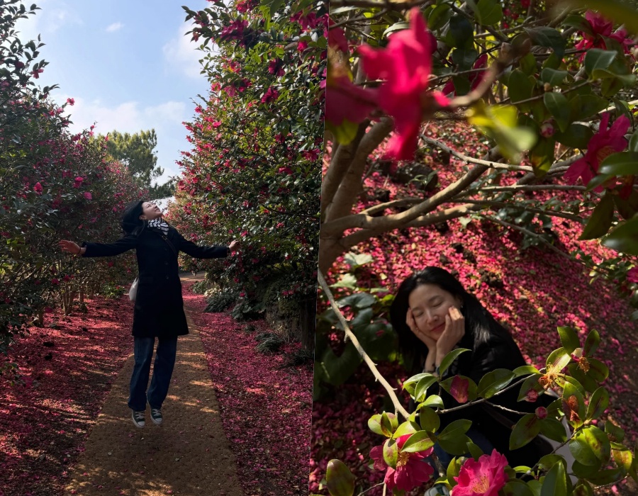 ����: �̿��� �ν�Ÿ�׷�