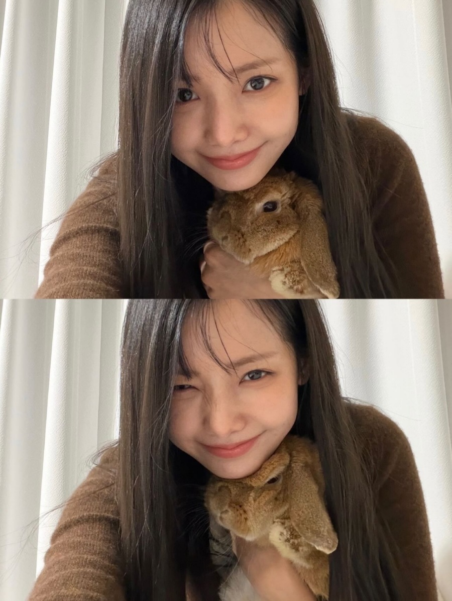 �Ͽ����� �Ϻ����� ��Ȳ�� ���ߴ�. / ���� : �Ͽ��� �ν�Ÿ�׷�