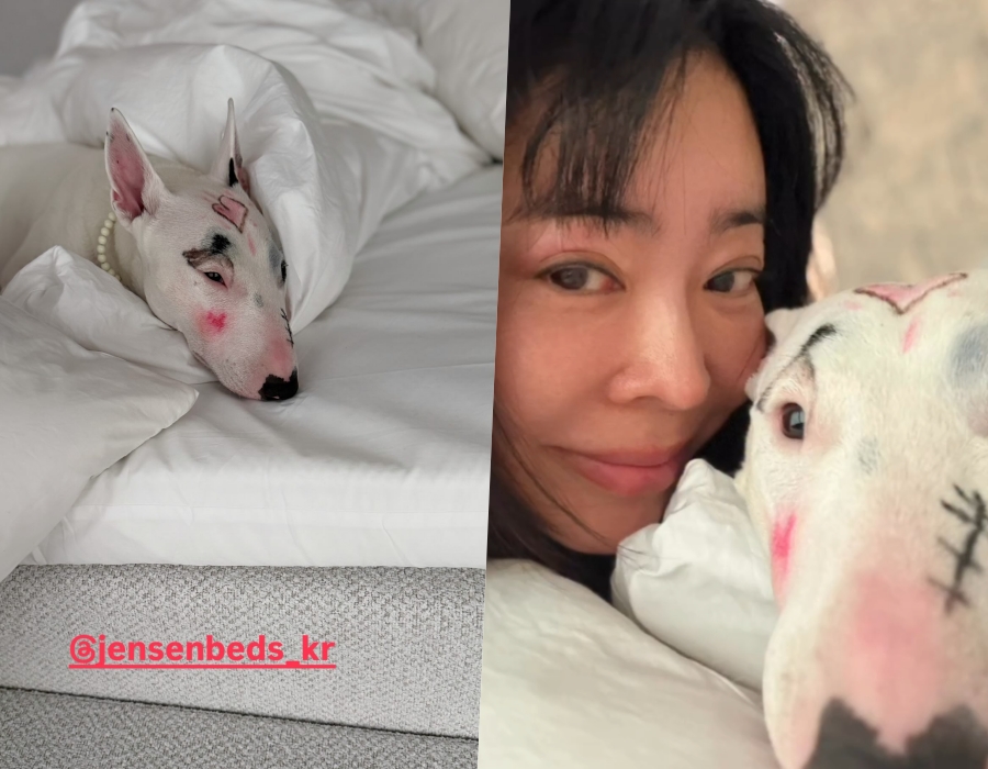 ����: ������ �ν�Ÿ�׷�