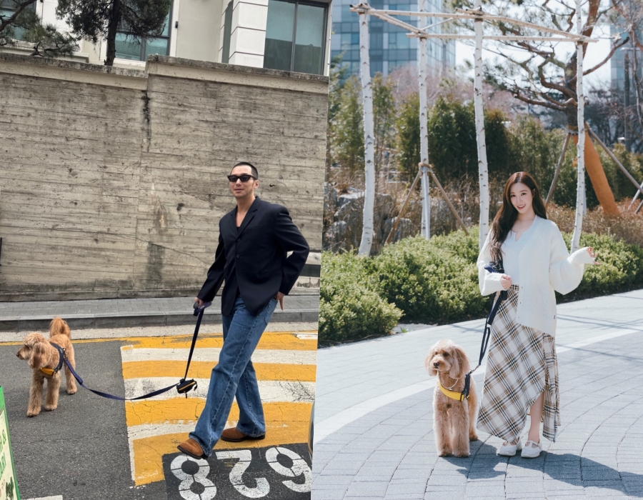 ����: ������, Ƽ�ĴϿ� �ν�Ÿ�׷�