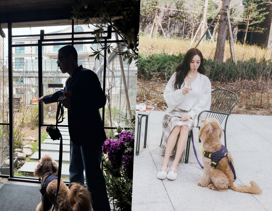 'ȥ�νŰ�' ��ģ �����Ѣ�Ƽ�ĴϿ�, ��ȥ �ϻ� ����? �ݷ��߰� ��å�� ����