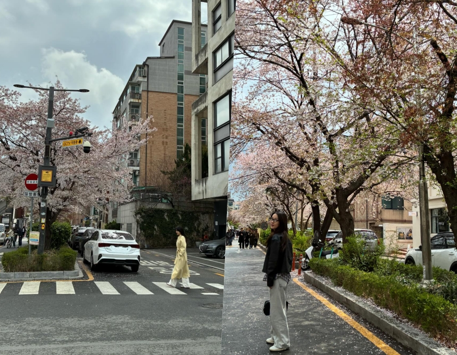 ���� �������� ����������������γ�� �� ���������� ����Ʈ ����