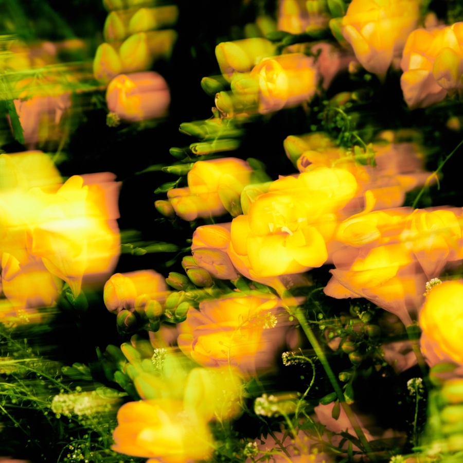 ����: ���忣�����θ�Ʈ ����