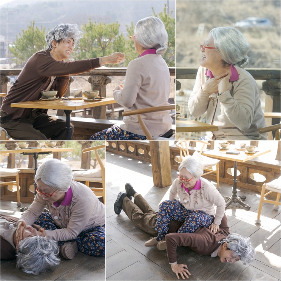 ����: ���ø��� ����