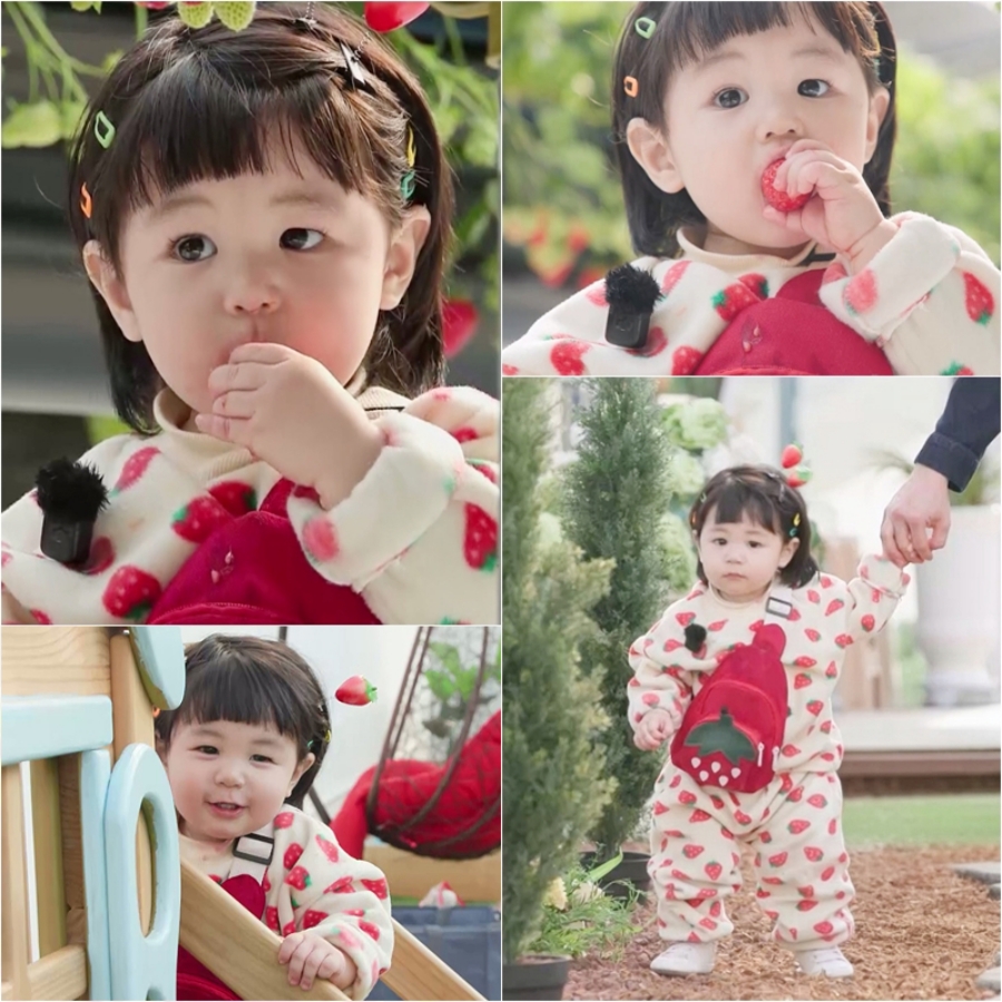 ����: KBS ����