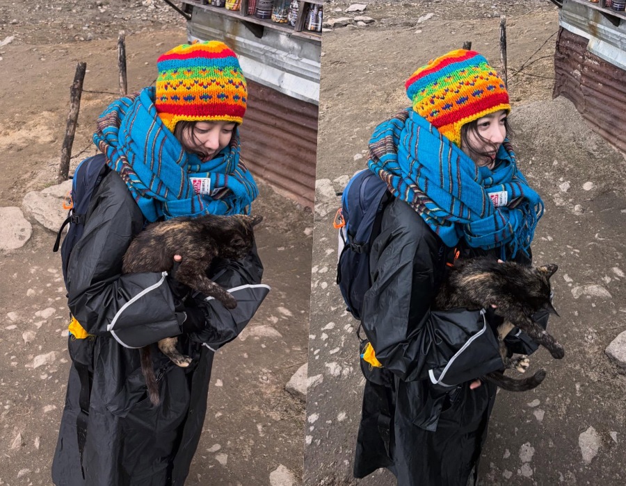 ���� : ������ �ν�Ÿ�׷�