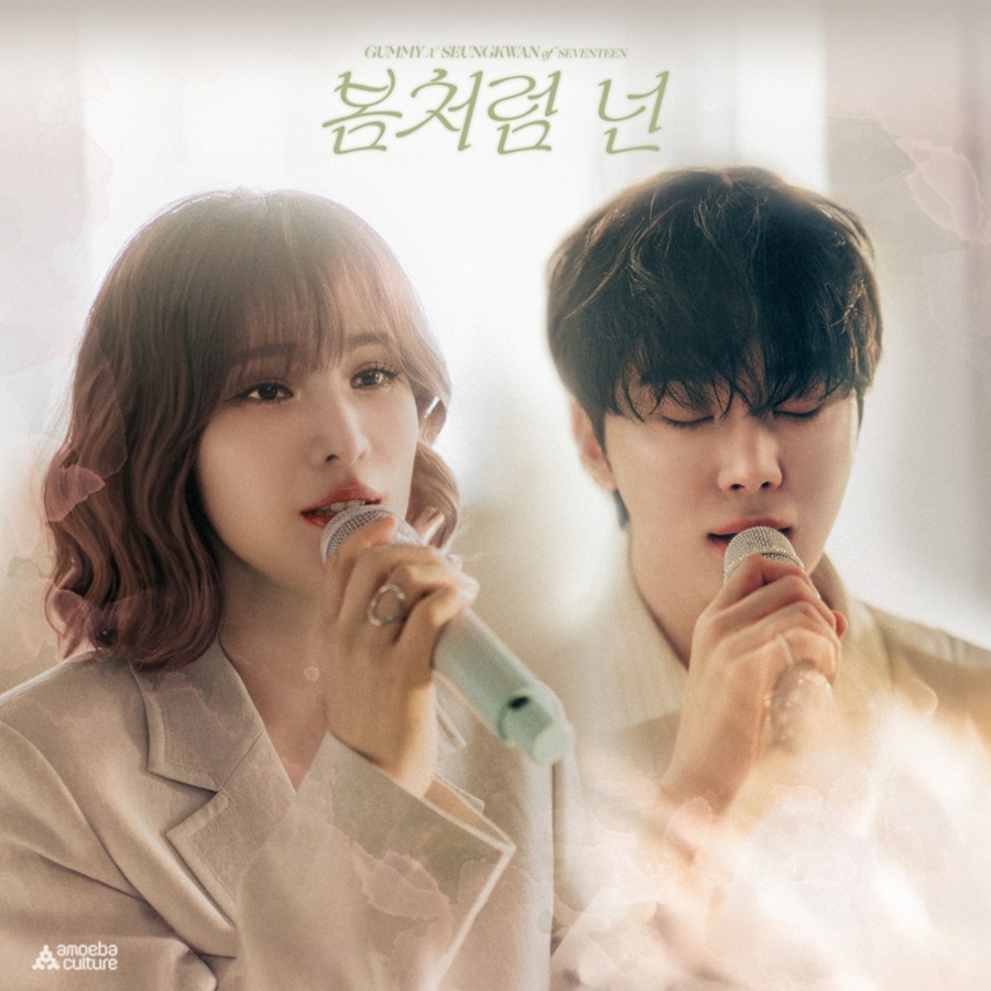 ����: �Ƹ޹����� ����