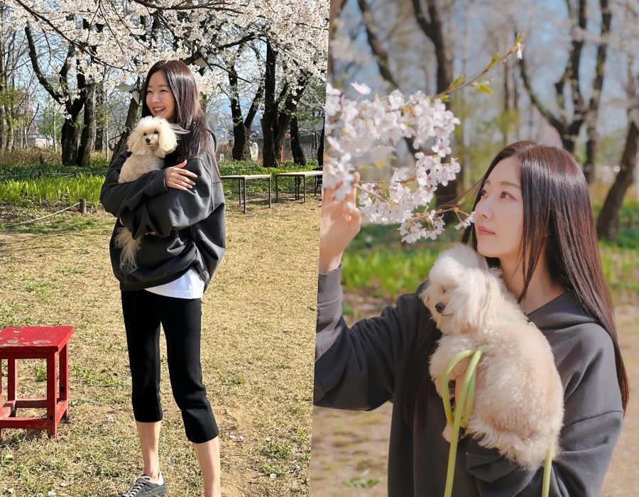 ����: ���� �ν�Ÿ�׷�