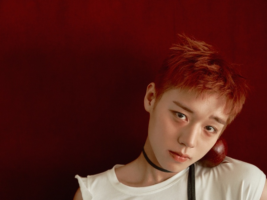 ����: YY�������θ�Ʈ ����