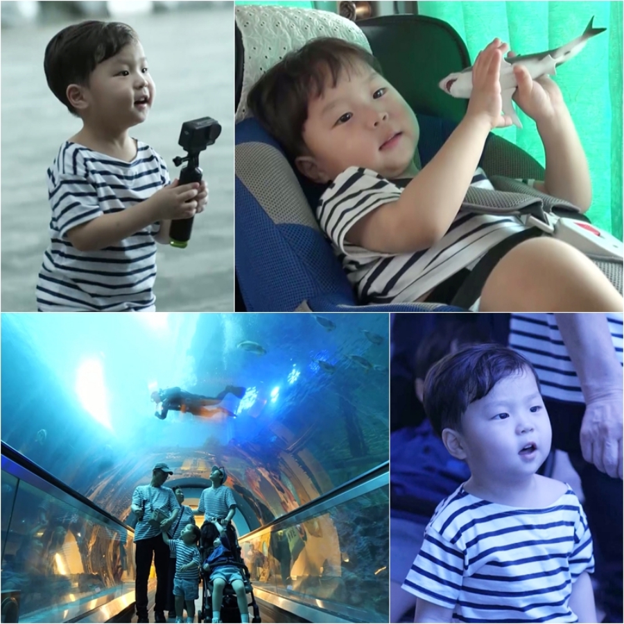 ����: KBS ����