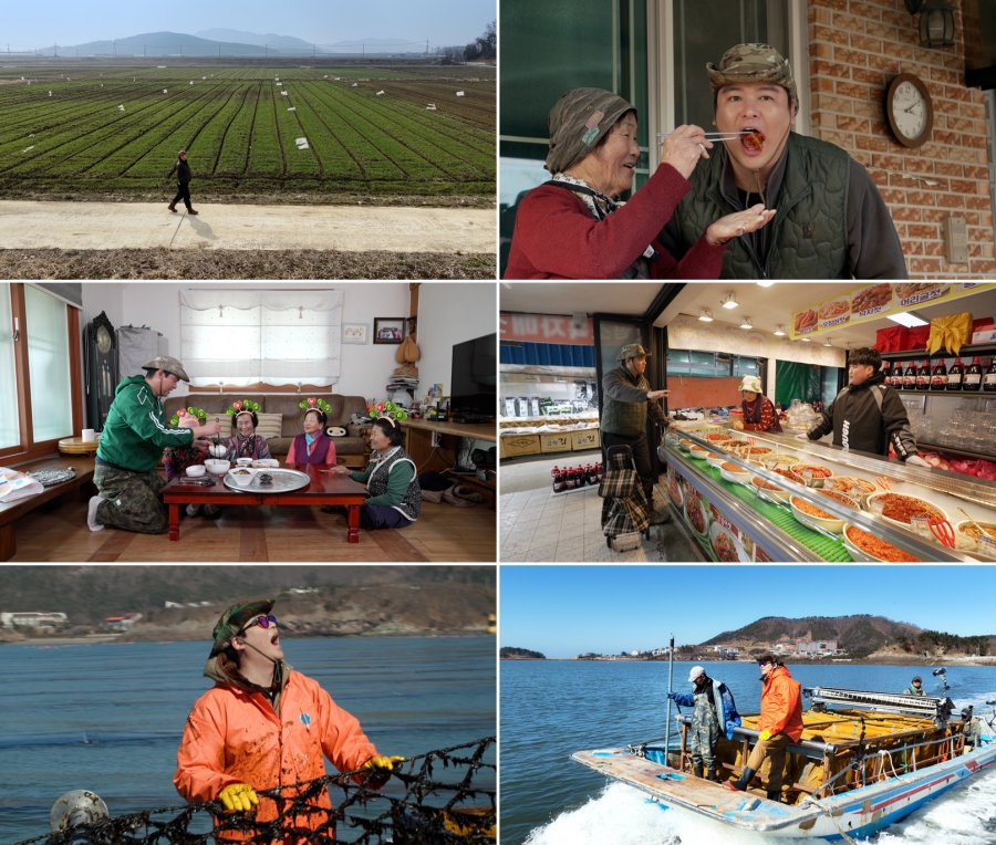 ����: MBC ����