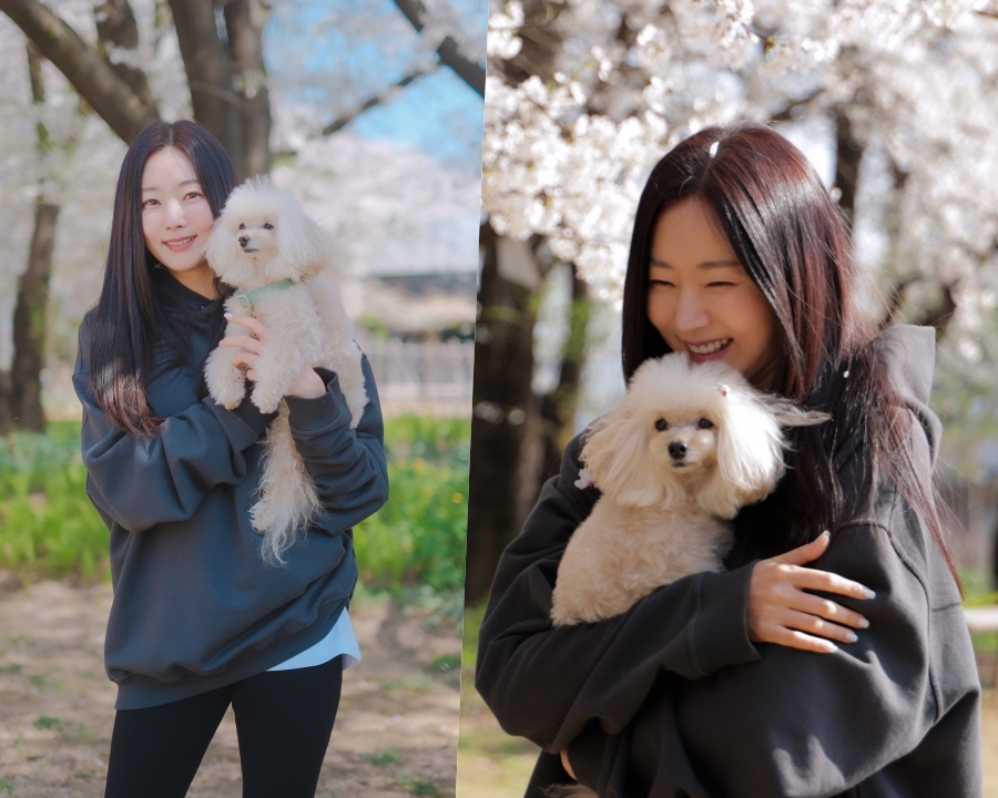 ���� : ���� �ν�Ÿ�׷�