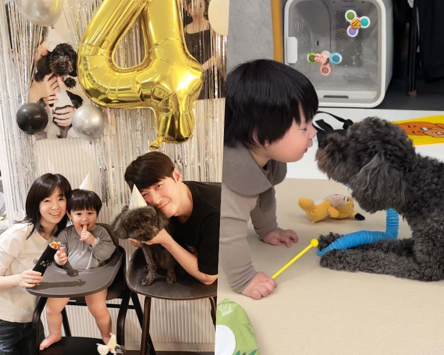 ���� : ������ ��� �ν�Ÿ�׷�