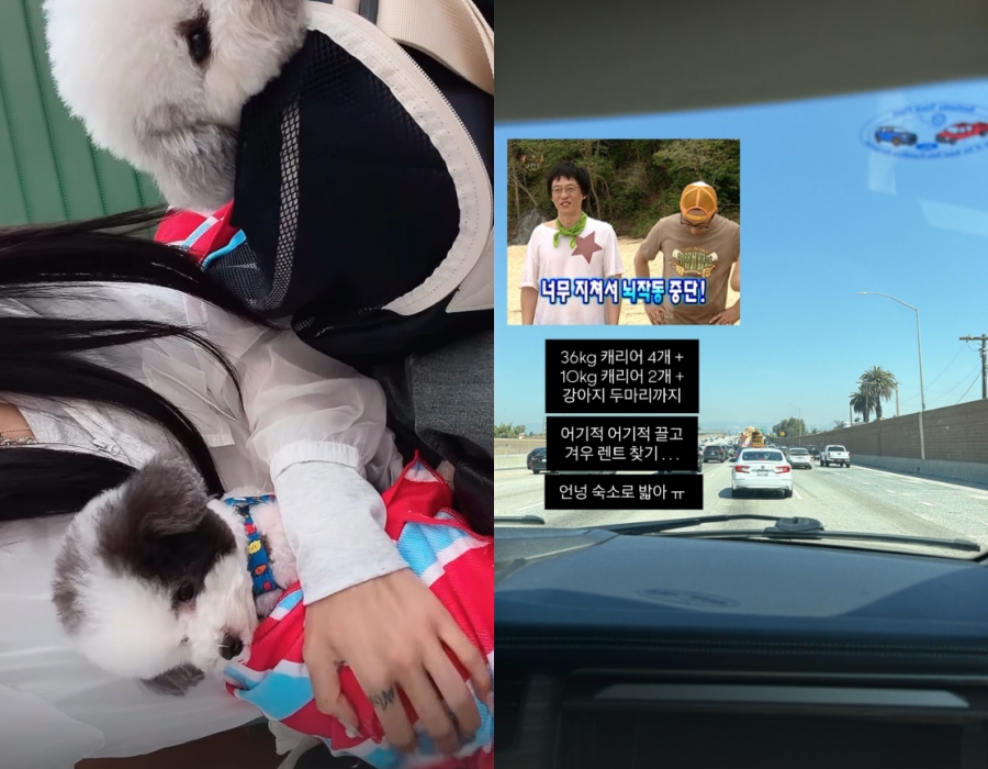 ����: ������ �ν�Ÿ�׷�