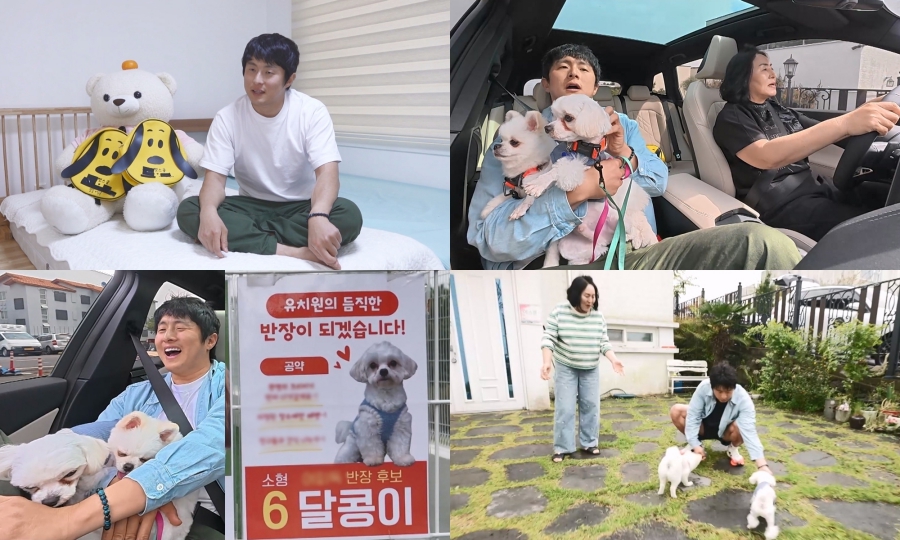 ����: MBC ����