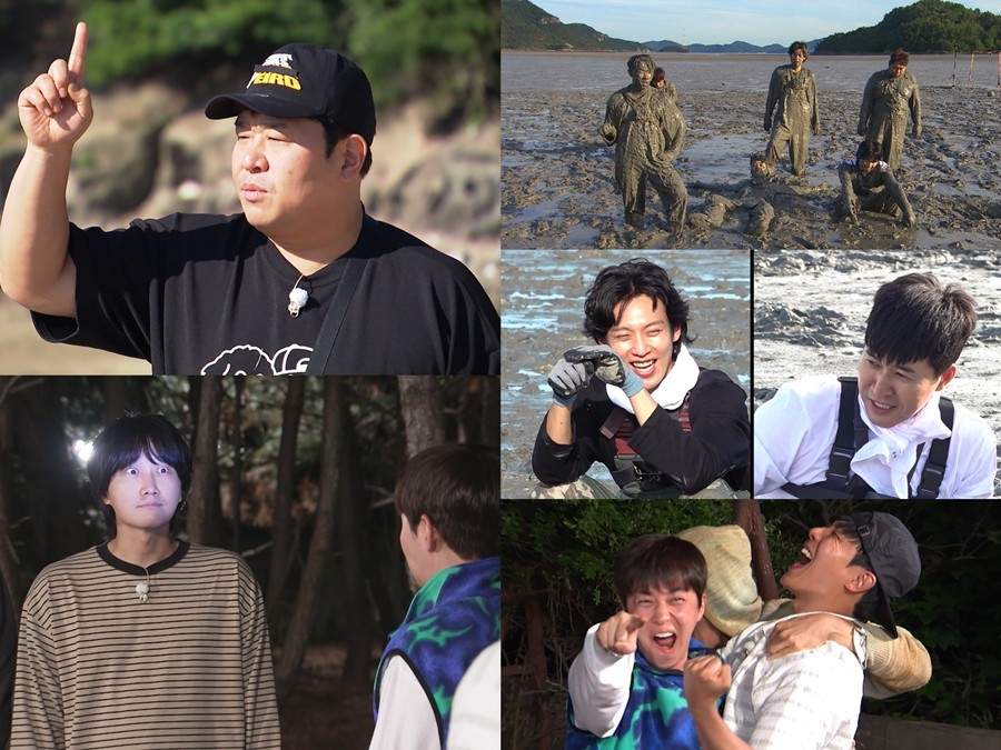 ����: KBS ����