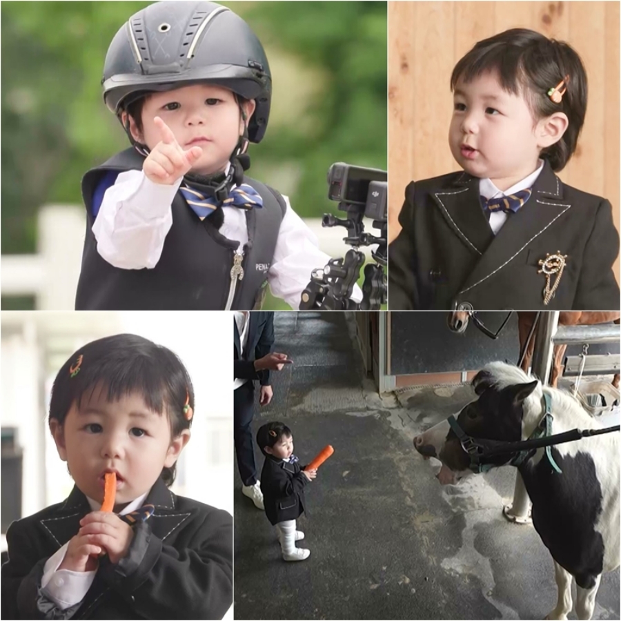 ����: KBS ����