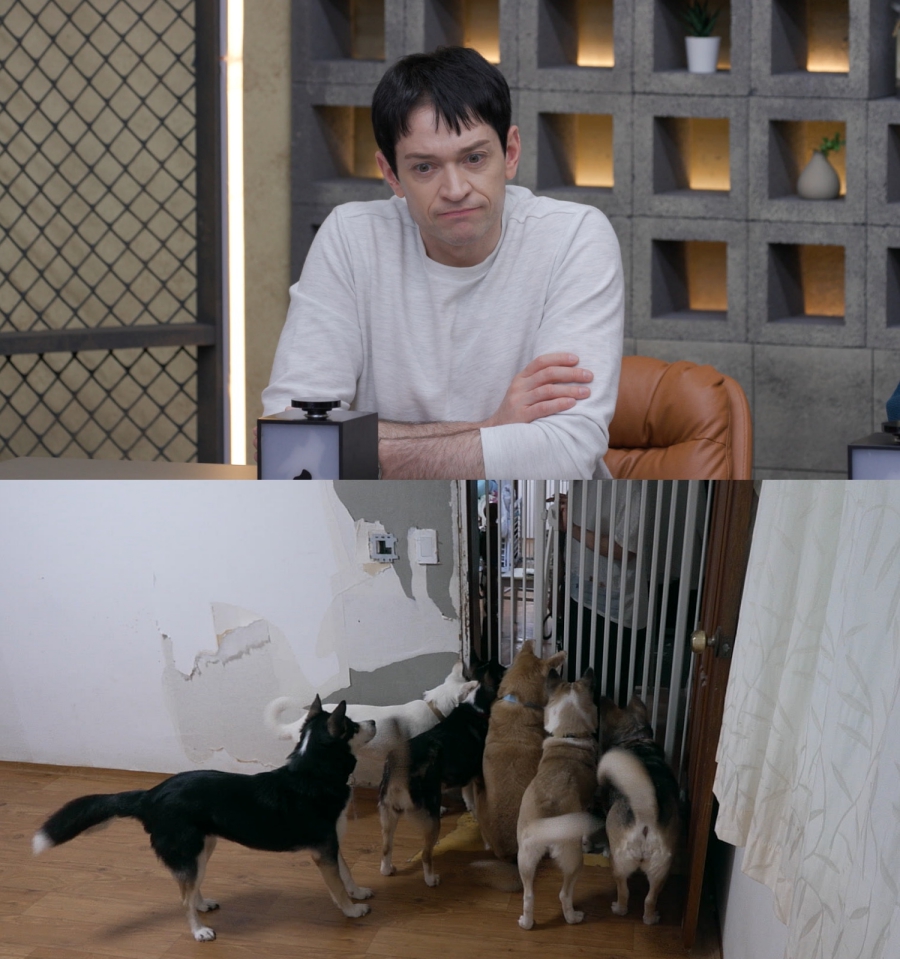 구더기 사료+썩은 물 먹던 유기견 구조했는데…보호자는 손가락 일부를 잃었다 (개늑시2)